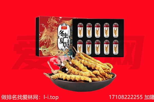 香格里拉市回收虫草.jpg